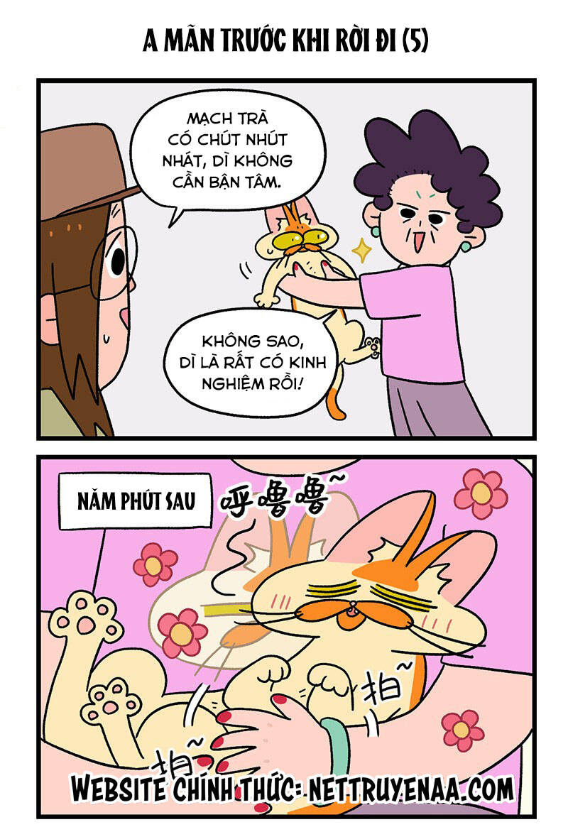 a mãn và mạch trà chapter 34.1 5