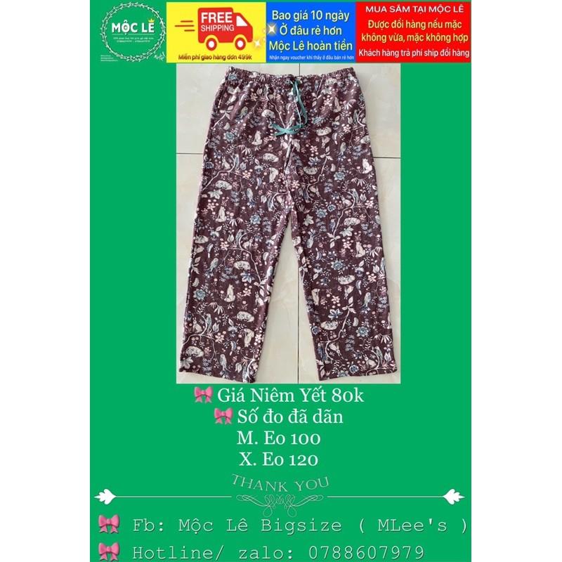 Quần nỉ ống suông bigsize hoạ tiết hình thú