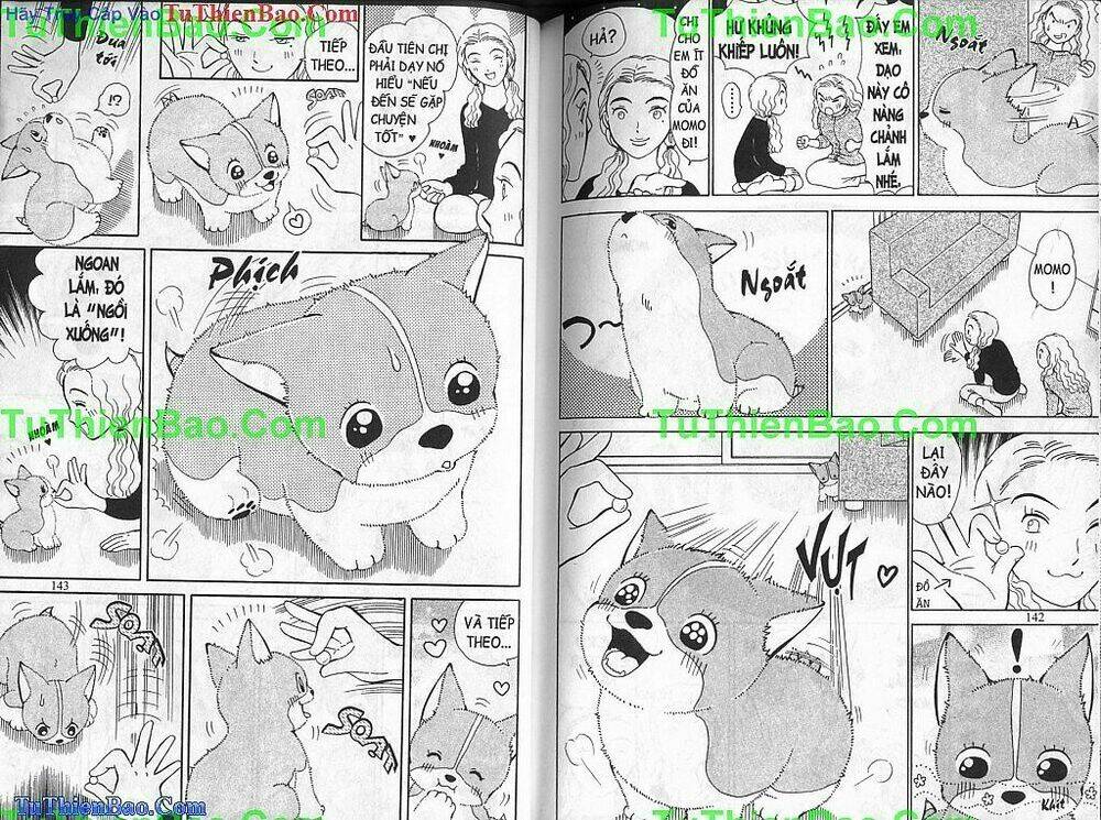 chó con mo mo chapter 2 72