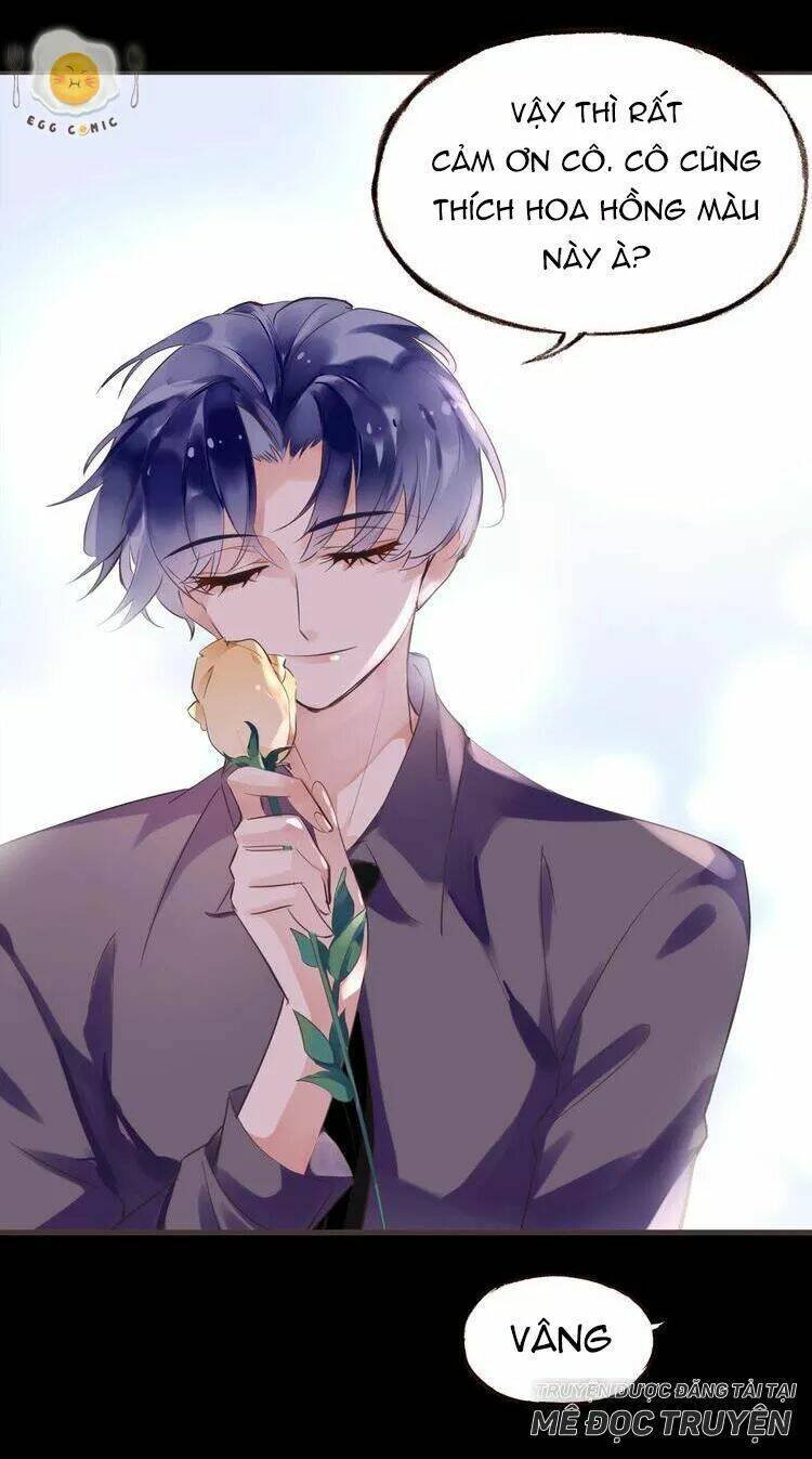 nở rộ trên bụi gai chapter 41 6