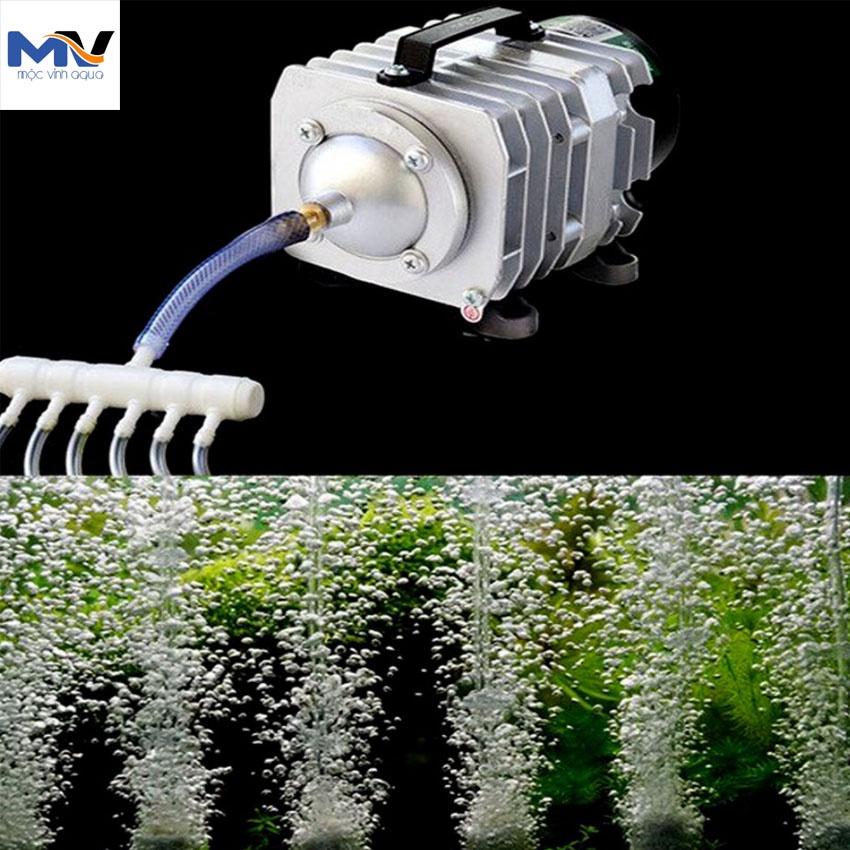 Máy sục sủi thổi khí oxy hồ cá Resun ACO-001/ ACO-003/ ACO-004/ ACO-006/ ACO-008