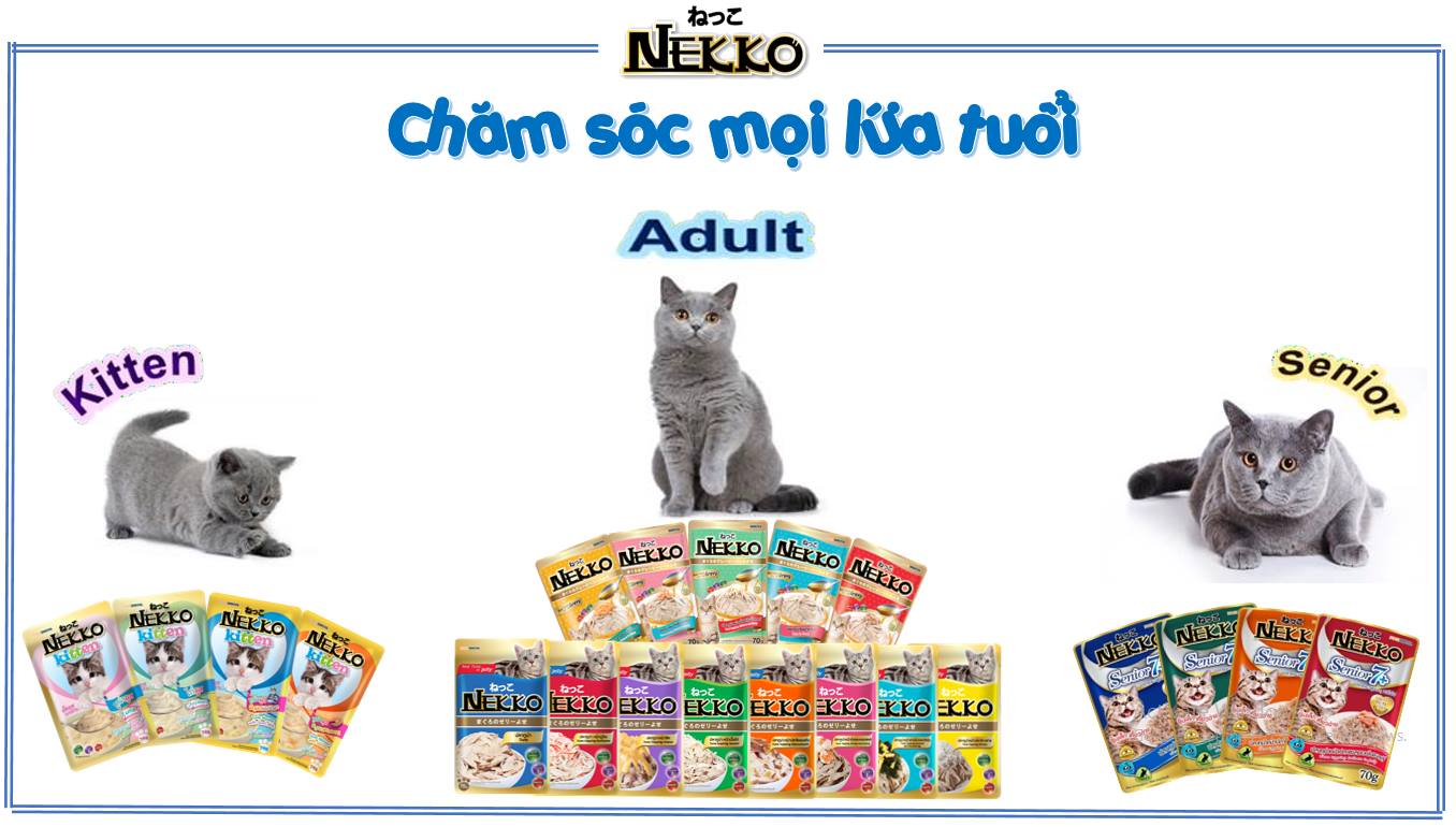 Pate Nekko xốt Garvy cho mèo Nekko Đủ Vị Gravy 70g