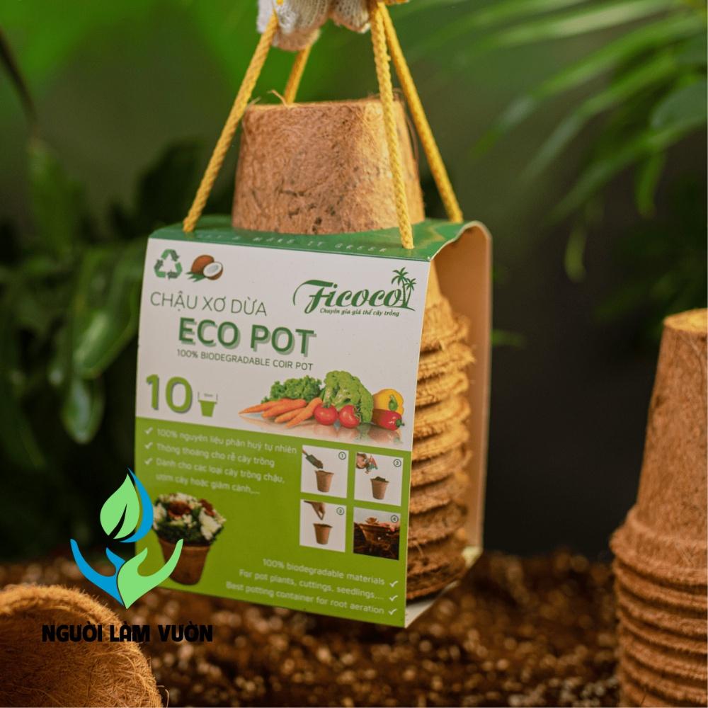 Combo 10 chậu trồng cây xơ dừa ép thân thiện với môi trường - độ bền 3 năm FICOCO