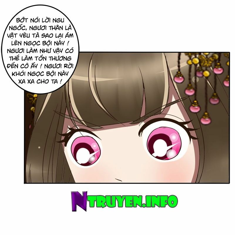 thông linh phi chapter 62.5 26