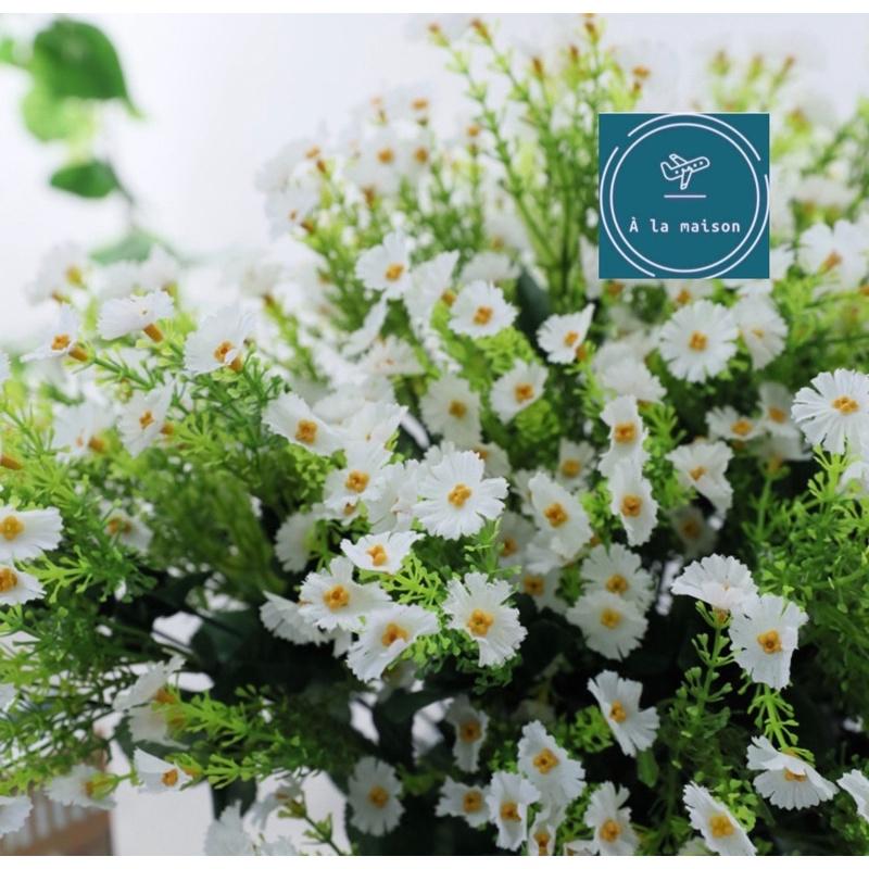 Cụm cúc Hy lạp cao 57cm có 13 nhánh hoa lụa nhỏ xinh thuần khiết, hoa thiết kế trang trí, hoa cưới hoa cô dâu