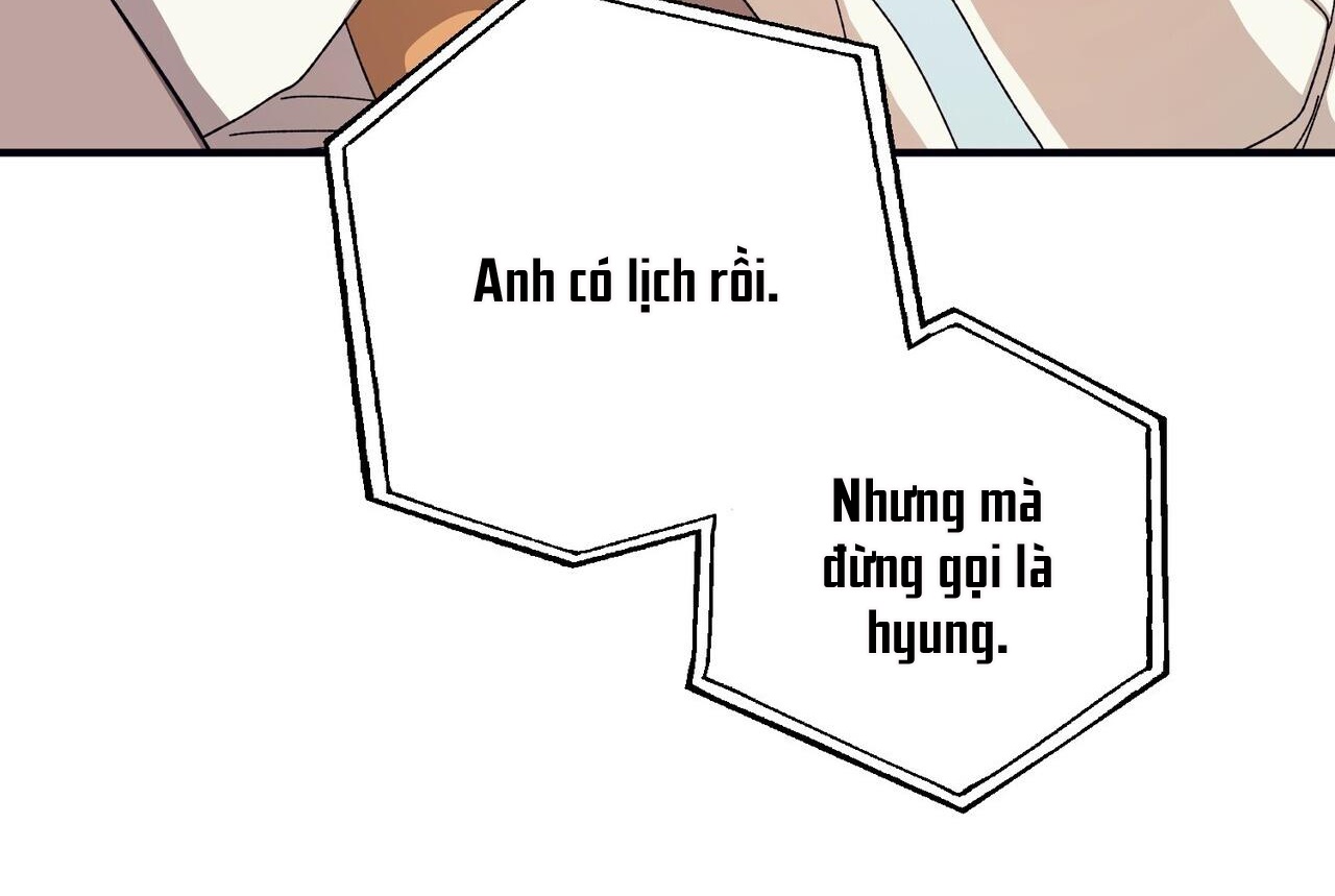 chàng dâu nhà họ kang chapter 43 166