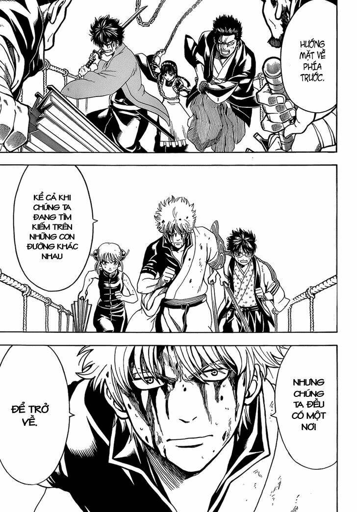 gintama - linh hồn bạc chapter 513 5