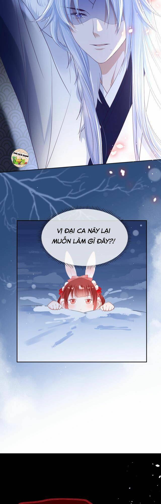 hắc hóa nam chính trực tuyến nuôi thỏ chapter 5 16