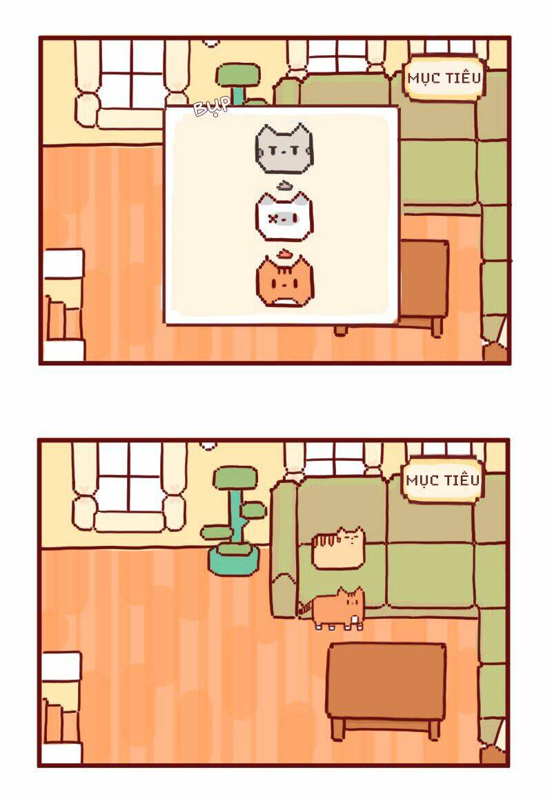 saphie: chú mèo một mắt chapter 16 4