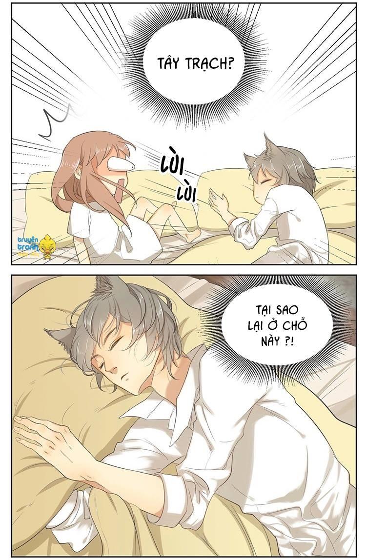 cứu mạng ! loài mèo thống trị thế giới rồi ! chapter 16 2