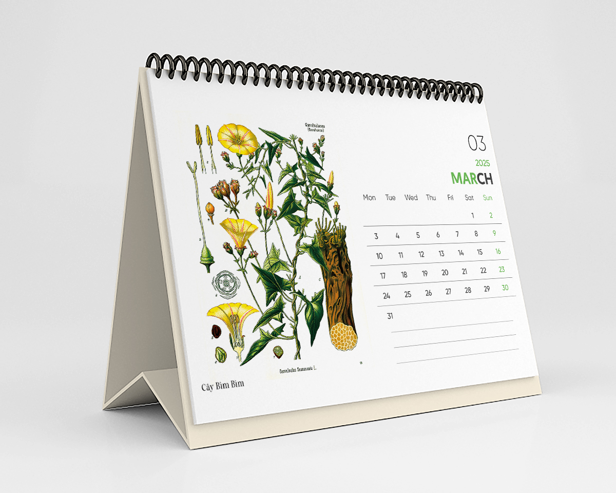 Lịch Bàn 2025 - Desk Calendar Nguyễn Trắc - Wild Flower and Herb