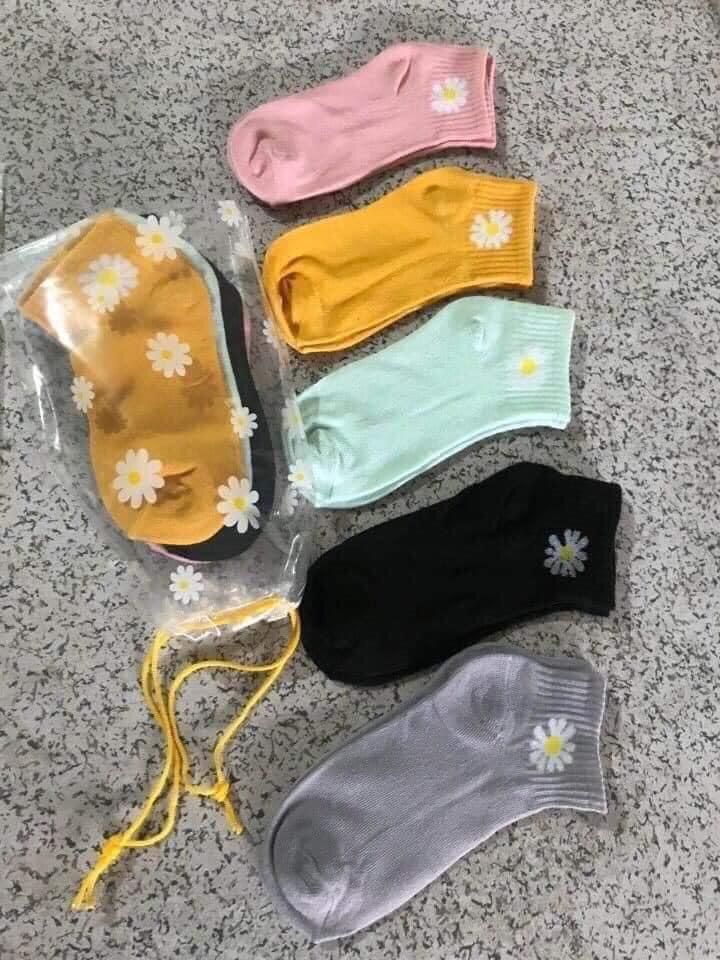 Set 10 đôi tất hoa cúc họa mi hot trend