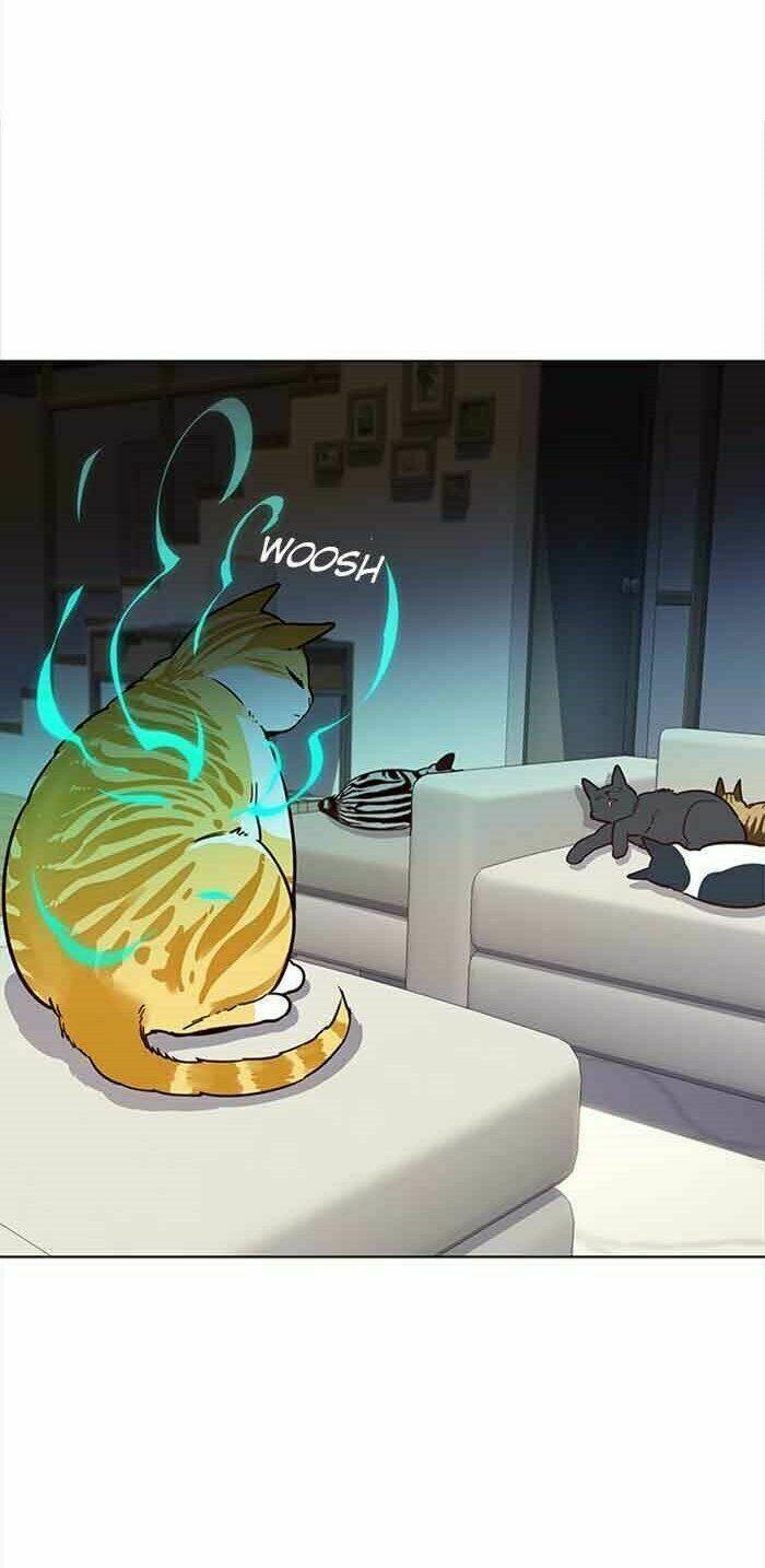 biến thân thành mèo chapter 23 31