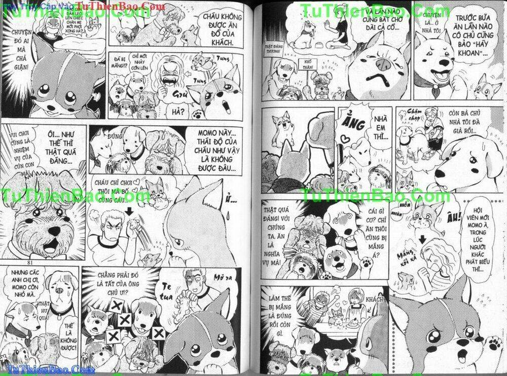 chó con mo mo chapter 5 41