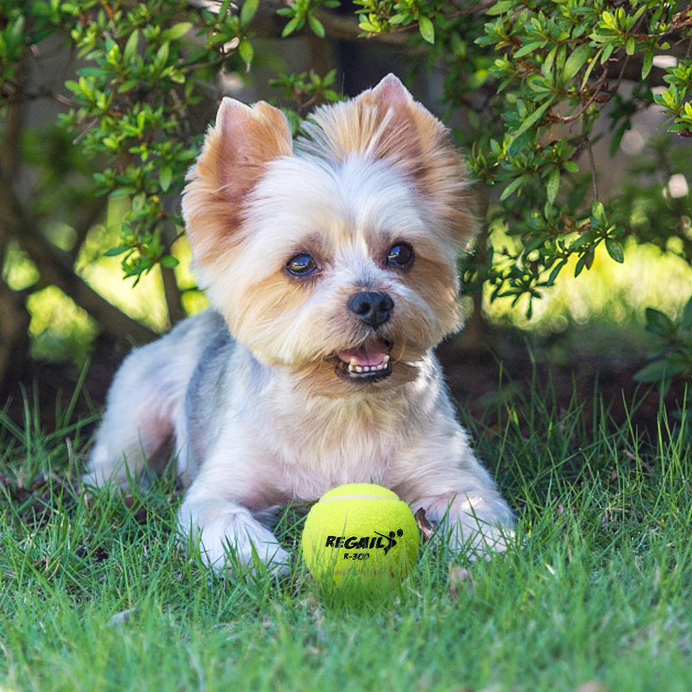 Bóng tennis không áp suất có độ nảy cao