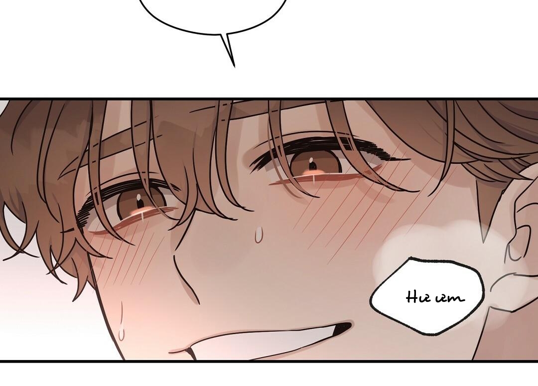 phức cảm tự ti của omega chapter 19 157