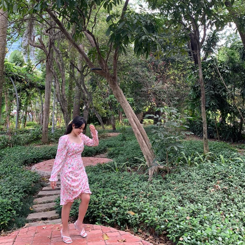 ĐẦM HOA NHÍ VẠT CHÉO