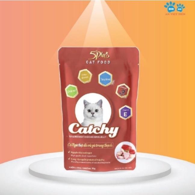 Combo 10 và 20 gói Pate Catchy 5plus dành cho mèo cưng dạng gói 70g nhiều vị hàng việt nam chất lượng cao