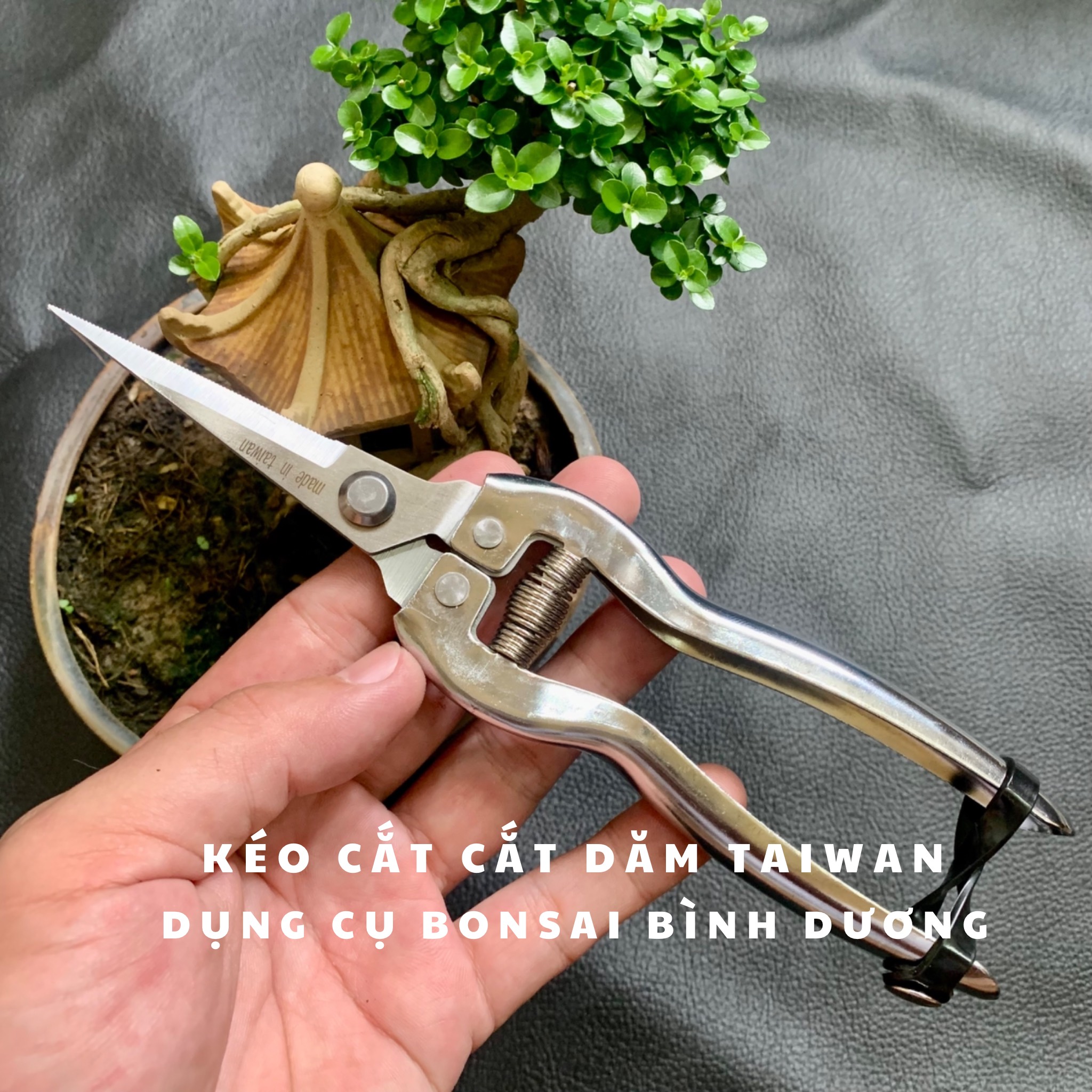Kéo tỉa dăm, lá, chồi cây cảnh made in Taiwan