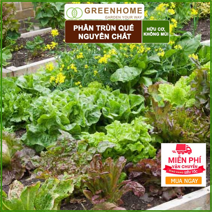 Phân Trùn Quế Greenhome, Lavamix, Bao 2kg, Nguyên Chất, Bổ Sung Dinh Dưỡng, Cải Tạo Đất, Hữu Cơ Tiện Lợi, Bón Rau, Hoa
