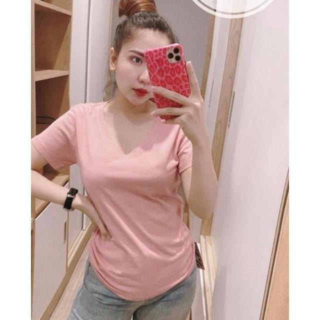 Áo phông cotton cổ tim, áo cuộn nhiều màu