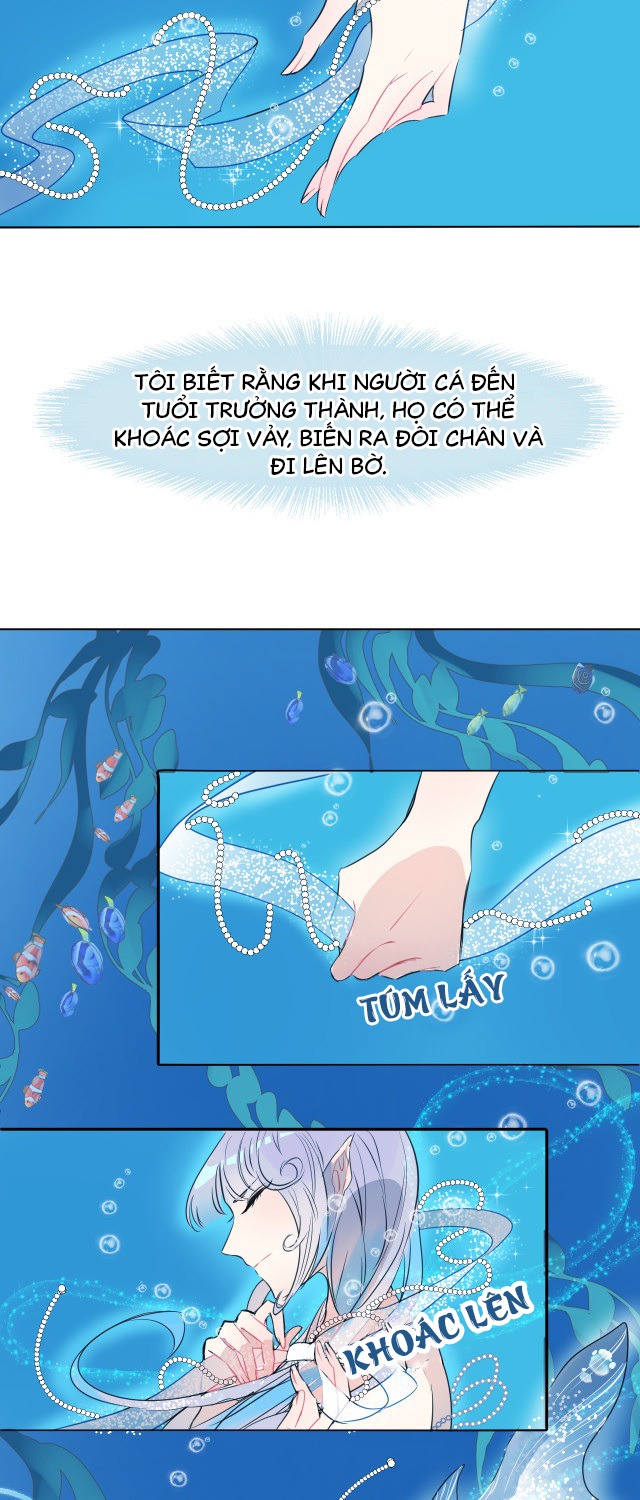 bộ váy của nàng tiên cá chapter 1 11