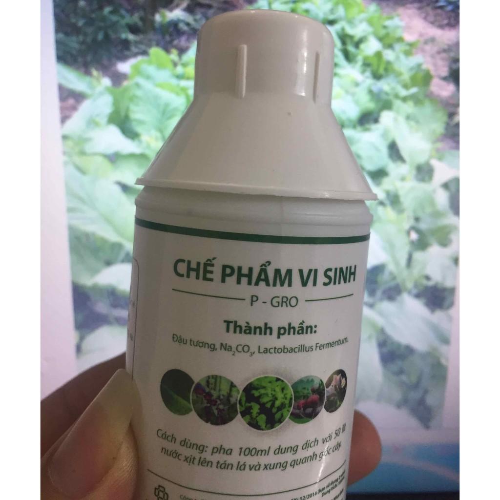 Chế phẩm vi sinh từ đậu tương P-GRO