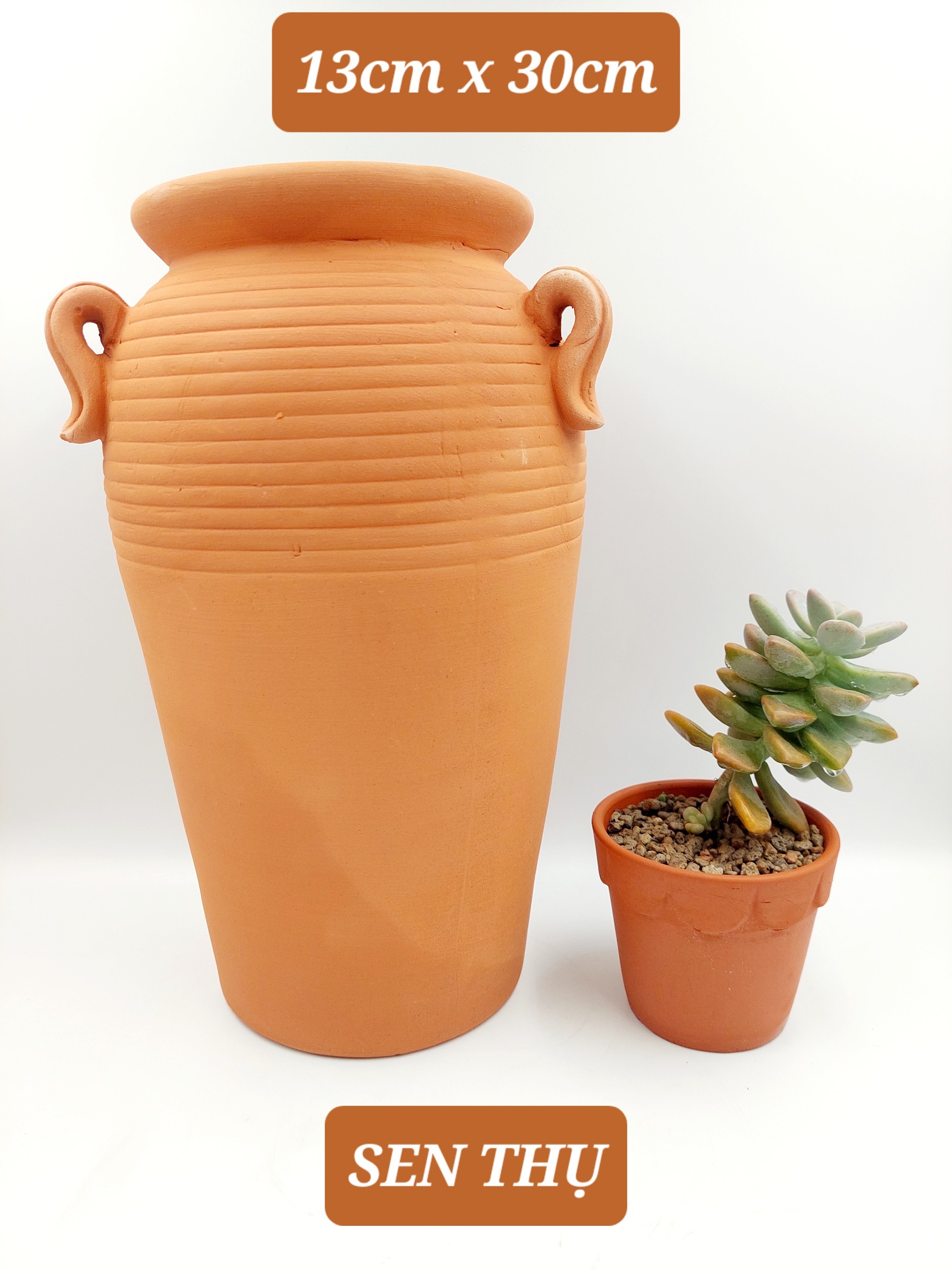 Chậu đất nung, chậu sen đá - Bình quai 1330, đường kính miệng tầm 13cm, chiều cao 30cm