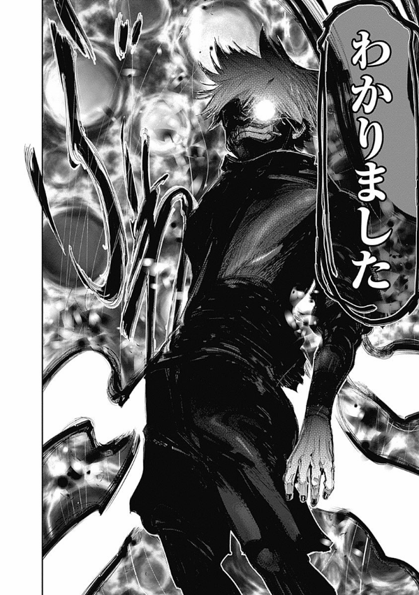 Tokyo Ghoul 14 (Japanese Edition)