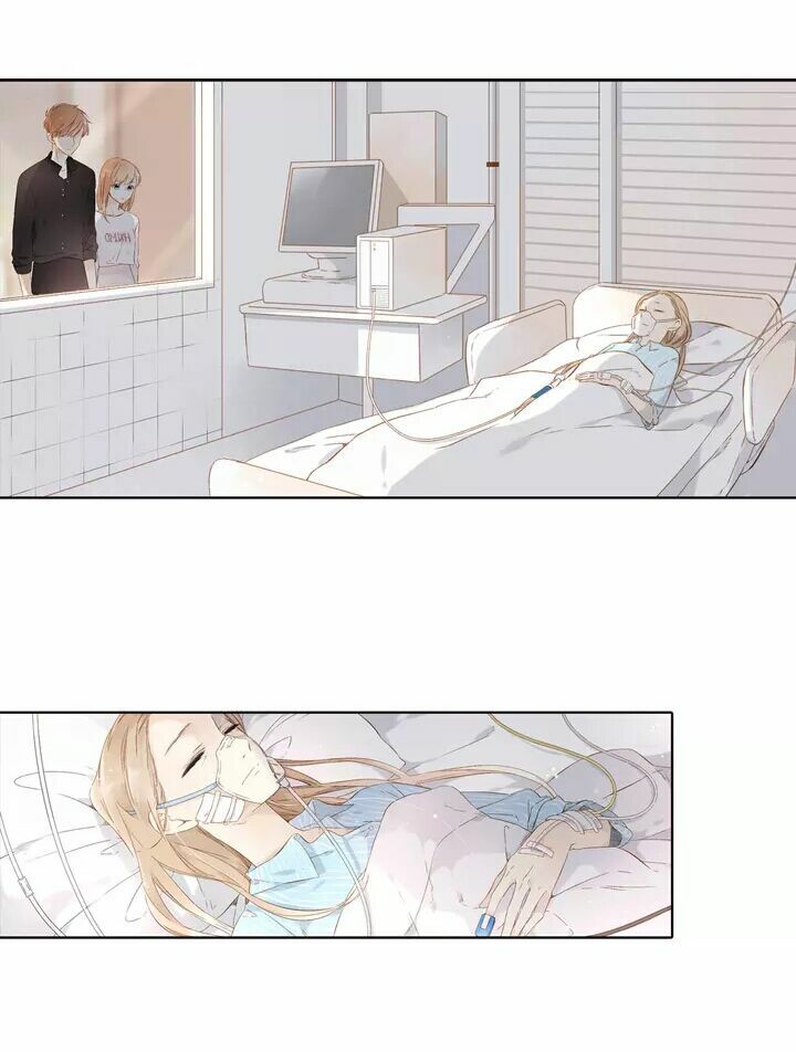 Tình yêu là màu hoa anh thảo chapter 23.2 12