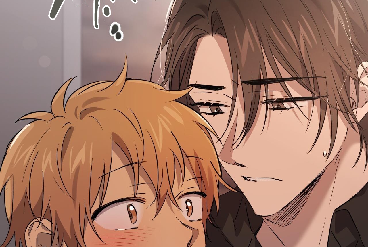 những chú thỏ của hapypy chapter 57 41