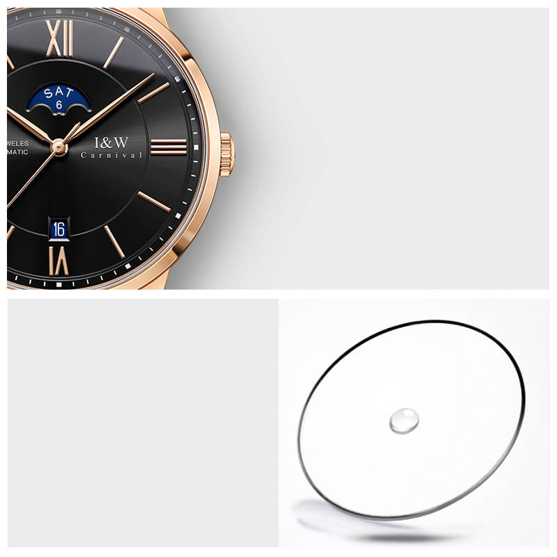 Đồng hồ nam chính hãng IW CARNIVAL IW528G-3 Kính sapphire ,chống xước,Chống nước 30m ,Bảo hành 24 tháng,Máy cơ ,Dây da cao cấp