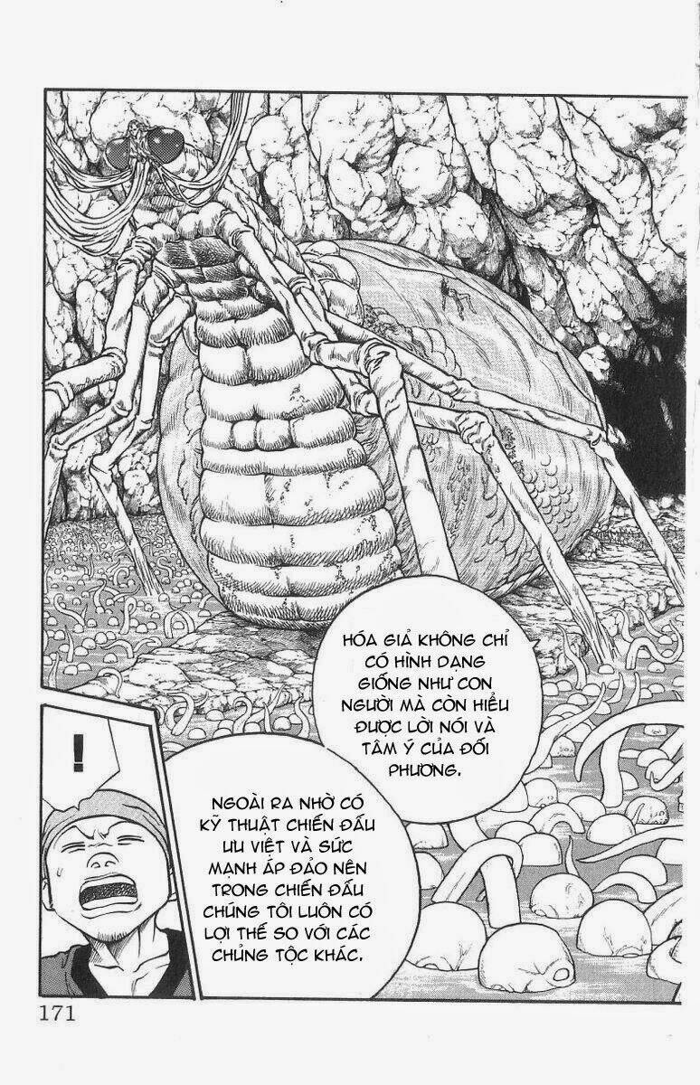 vua trên biển chapter 168 7