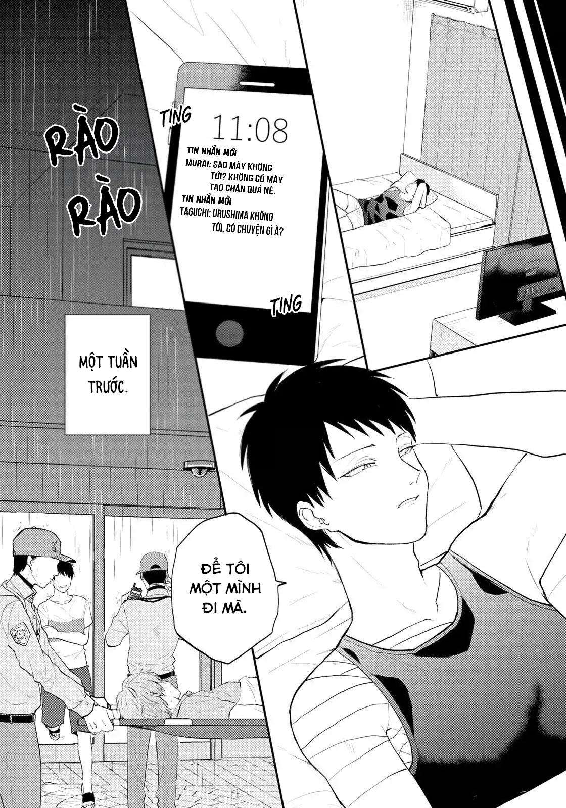tam giác dối trá chapter 5 13