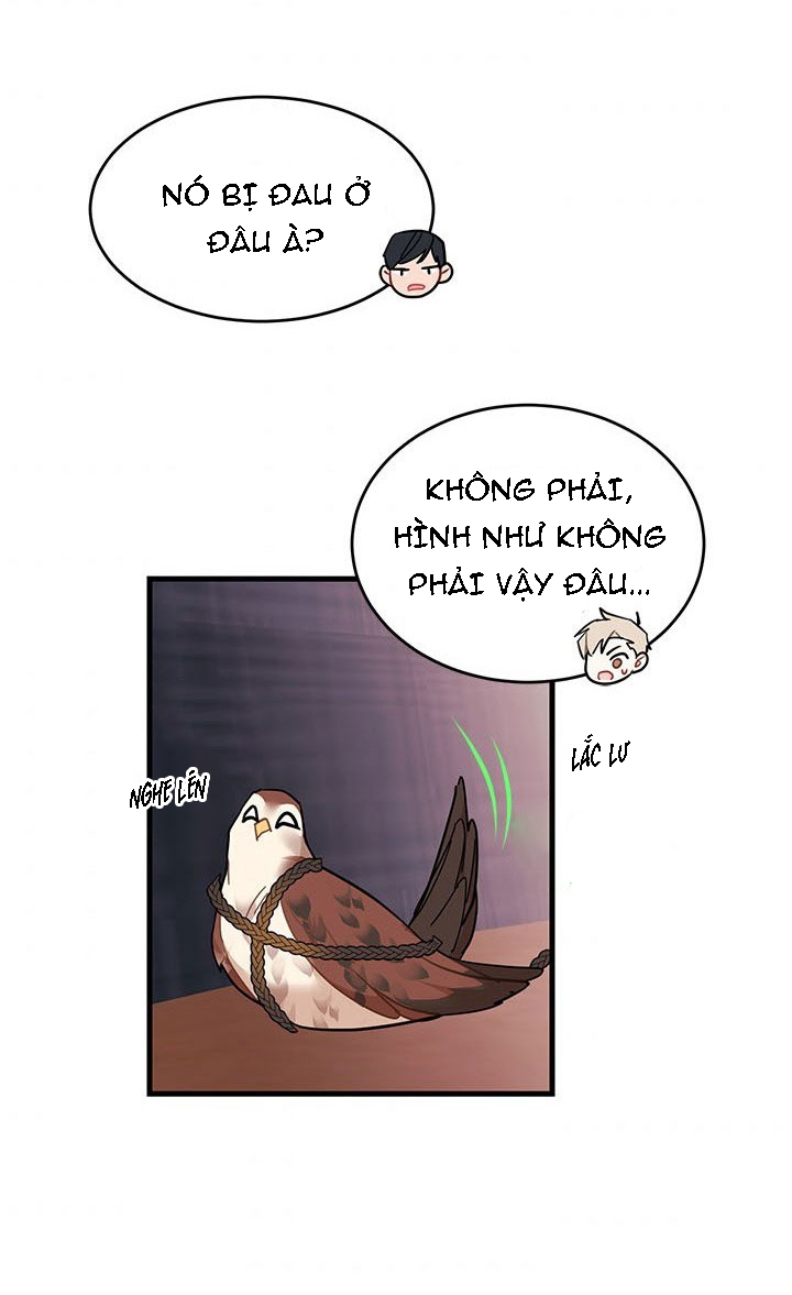 công chúa của loài chim chapter 3 80
