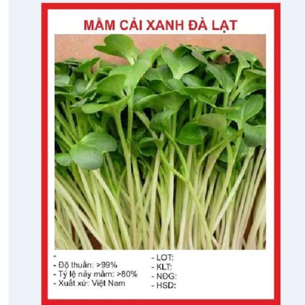 Hạt Mầm cải xanh Đà Lạt