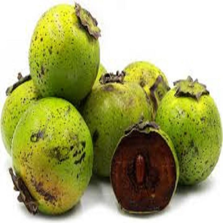 CÂY GIỐNG HỒNG ĐEN SOCOLA NHIỆT ĐỚI SIÊU NGON, CAM KẾT CHUẨN GIỐNG F1