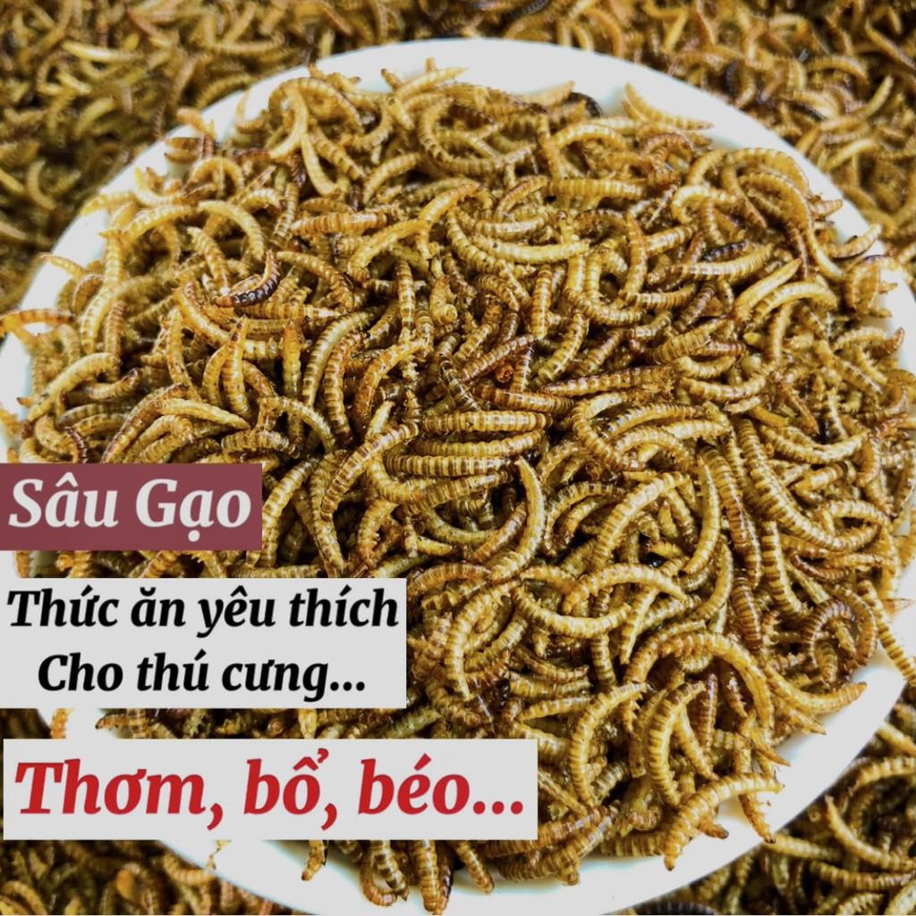 Sâu Gạo sấy khô, thức ăn yêu thích cho Hamster, chim, gà đá, cá cảnh, sóc, nhím