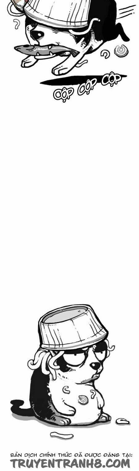 earth, human, and animal chapter 21 11