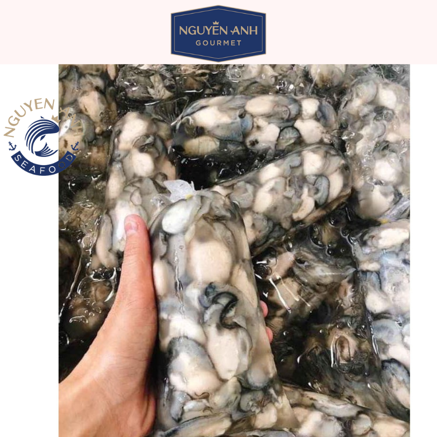 Hàu sữa tách vỏ Nguyên Anh 500G