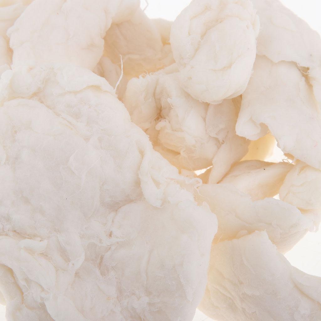 100G Bột Giấy Làm Giấy Papermaking Bột Giấy Cho Giấy Tái Chế Tiếp Liệu