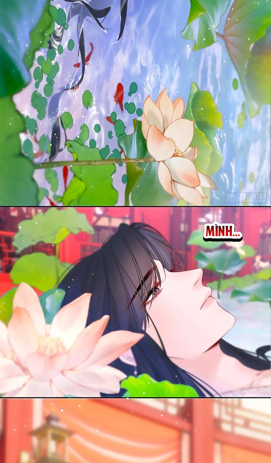 kim ốc tàng kiều chapter 84 34