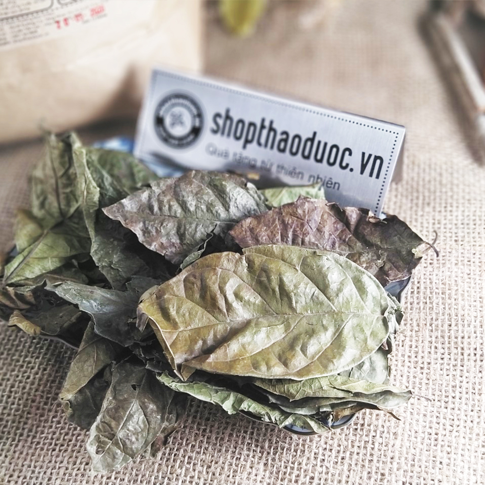 Cây Xạ Đen Gói 500g Shop Thảo Dược - Hỗ Trợ Thanh Nhiệt, Mát Gan