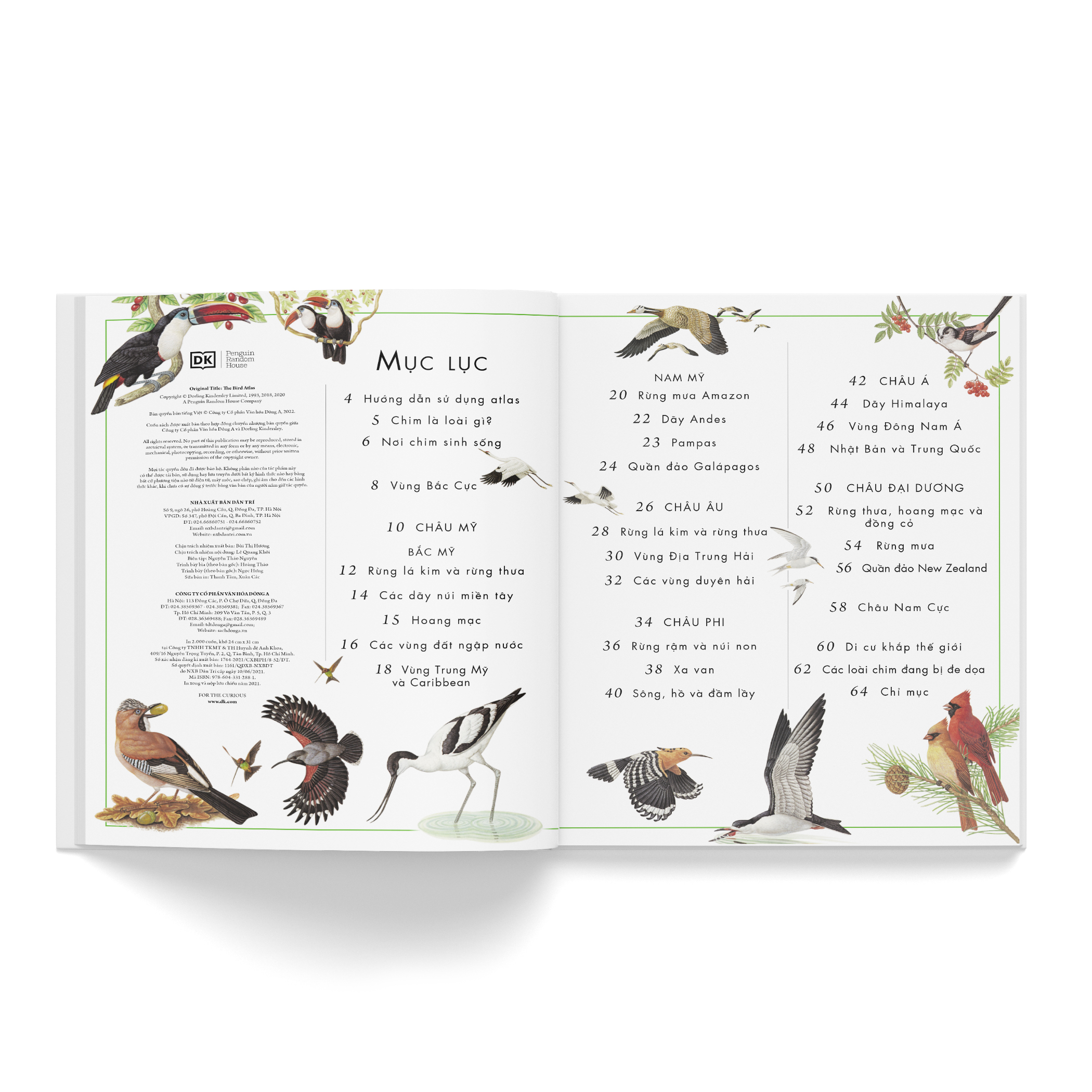 Combo 2 cuốn: Atlas động vật + Atlas các loài chim - Tặng 1 cuốn Vì sao? Như thế nào (Sinh thái hoặc Năng lượng)