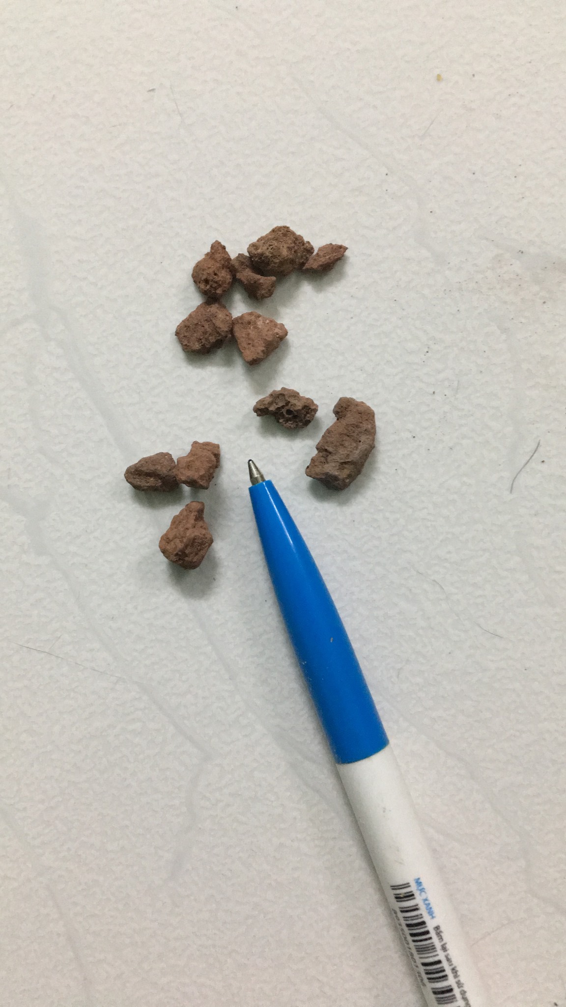 Giá thể sương rồng kiểng lá hồ thủy sinh đá nham thạch 1kg