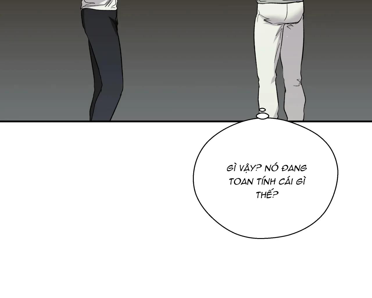 ám ảnh pheromone chapter 28 72