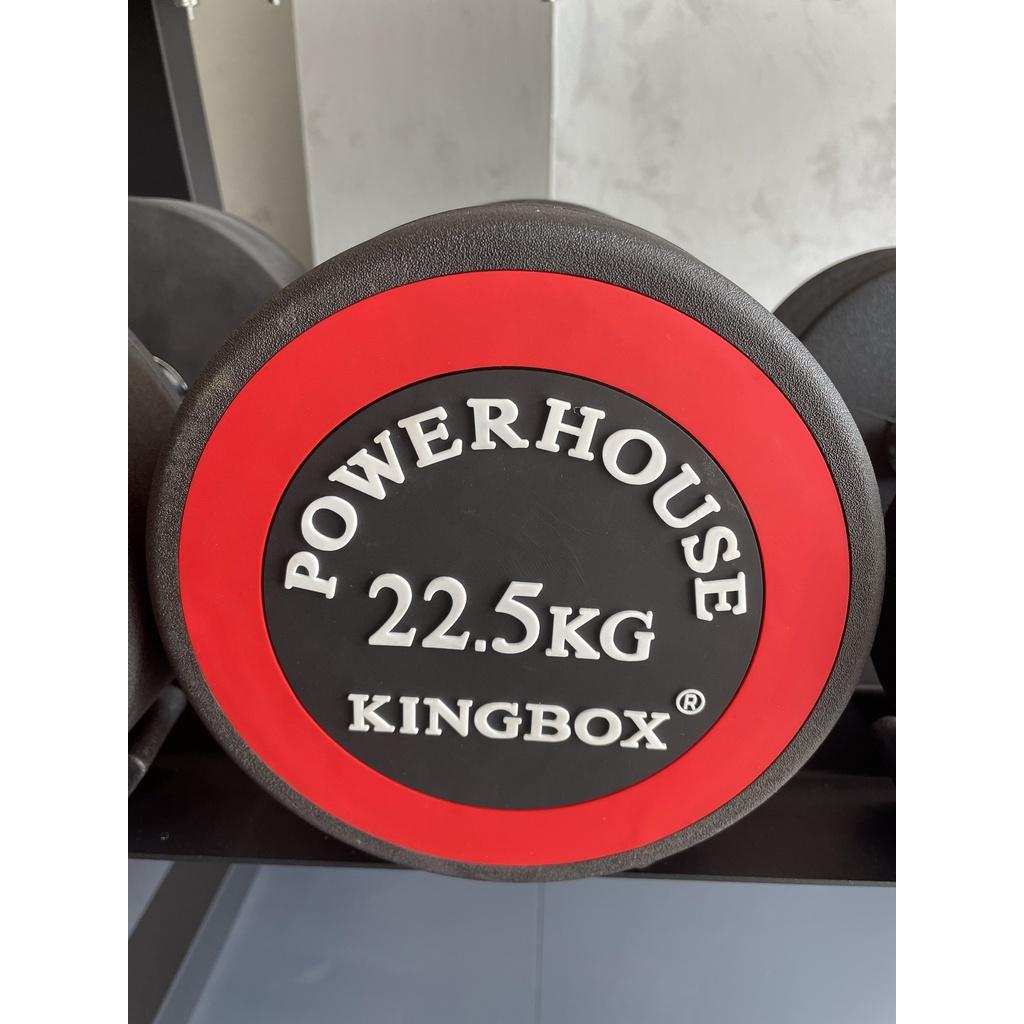 Tạ Tay Thép King Box Loại 22.5KG (1 cái)