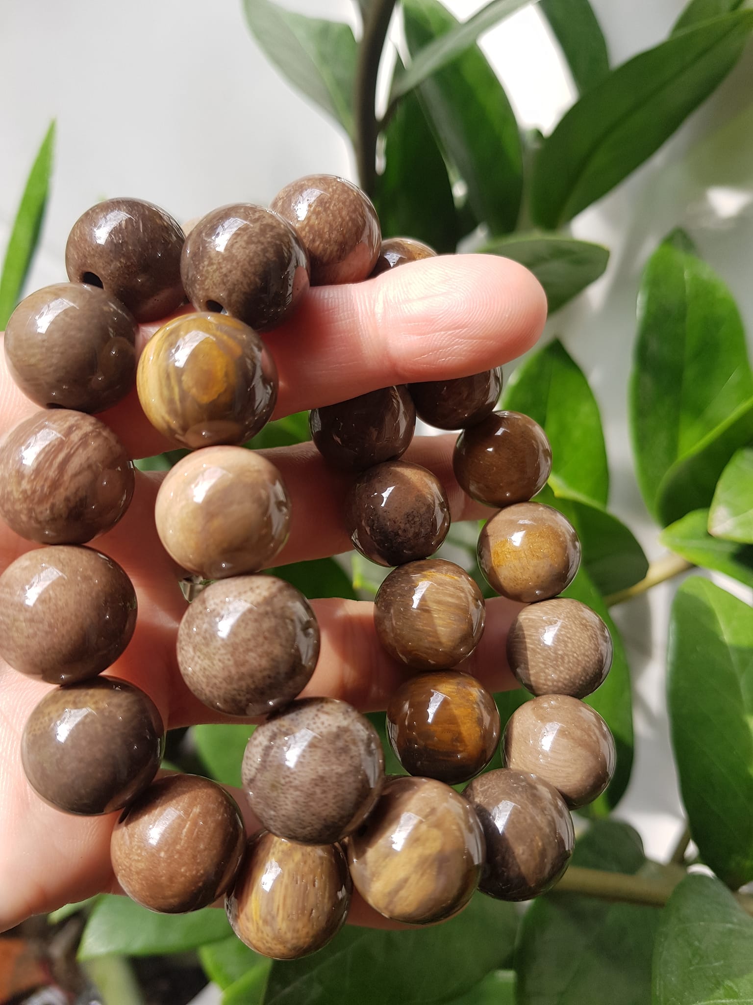 Vòng Gỗ Hóa Thạch Nam 16mm Màu Sáng Bóng Tự nhiên Gỗ Hóa Thạch Đẹp Nam đeo size vòng 16mm sang tay ạ