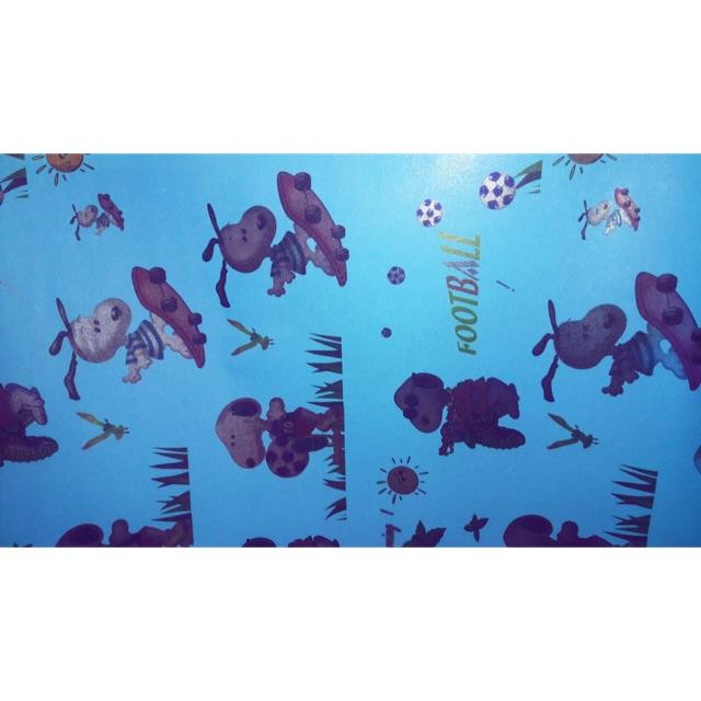 Giấy dán kính Hàn Quốc