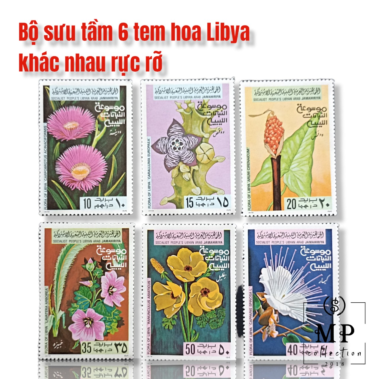 Bộ sưu tầm 6 tem hoa Libya khác nhau rực rỡ.